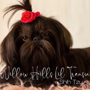 Meet your Posher, Jamie